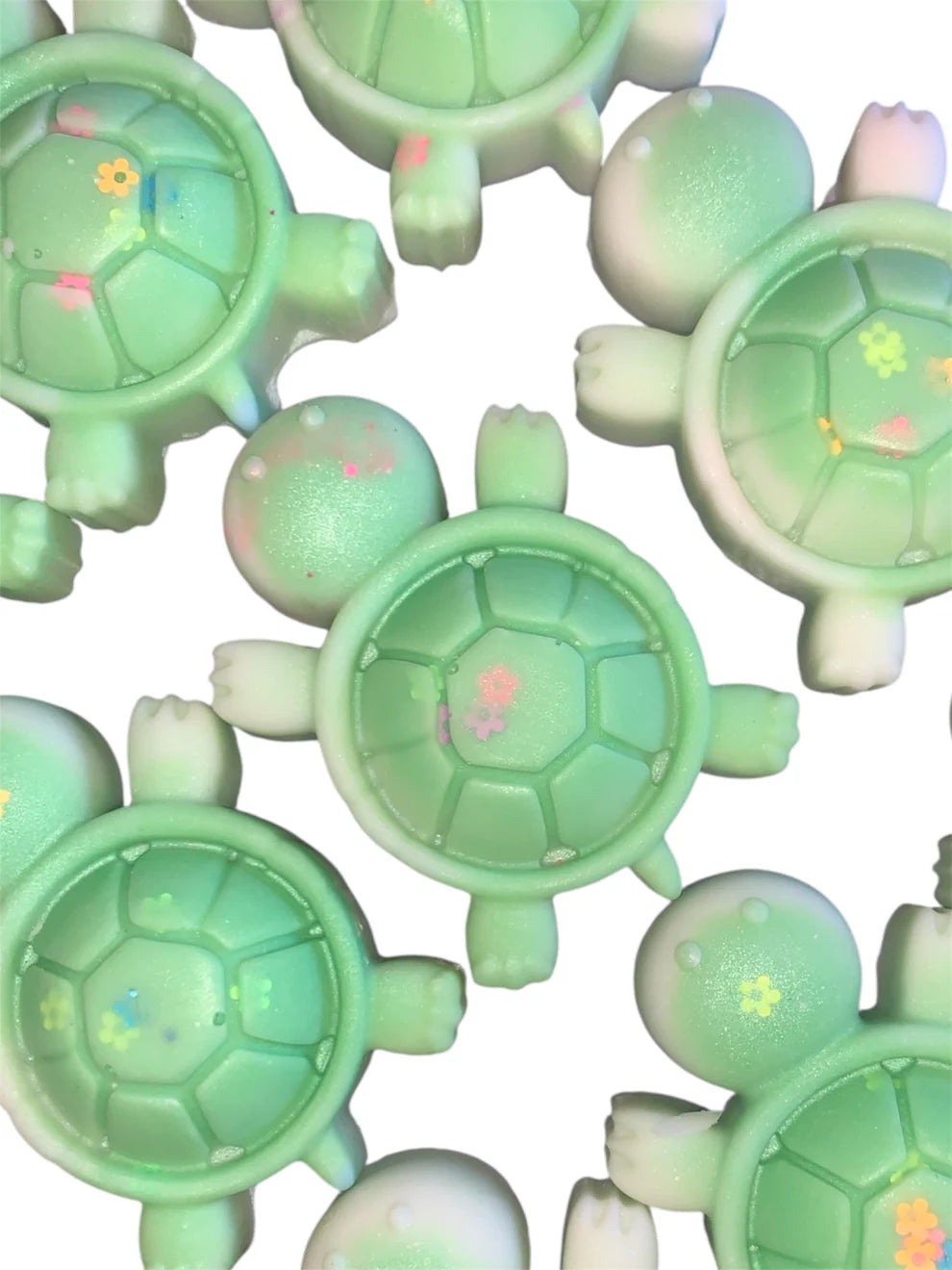 ⟡ Turtle Melt (1) ⟡