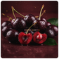⟡ Black Cherry ⟡