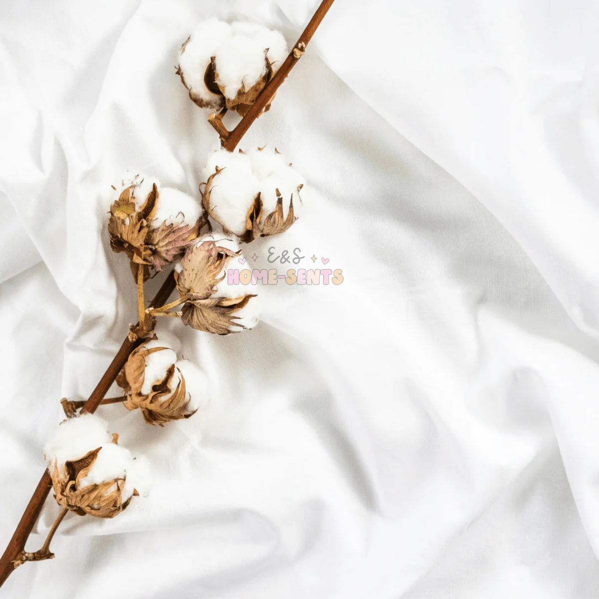 ⟡ Clean Cotton ⟡